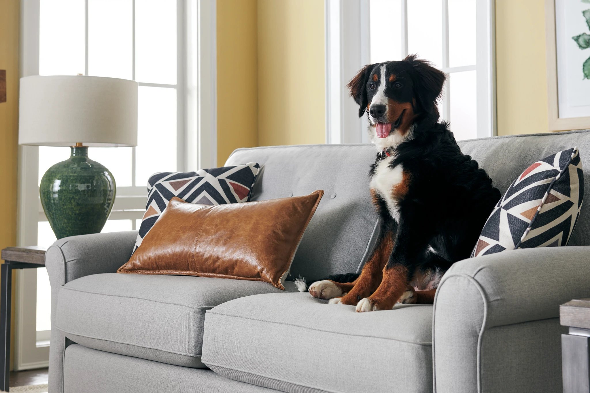 dog sitting on la-z-boy loveseat