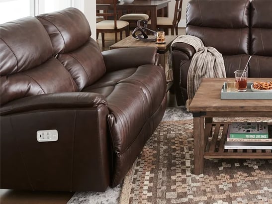 leather trouper loveseat on rug in living room