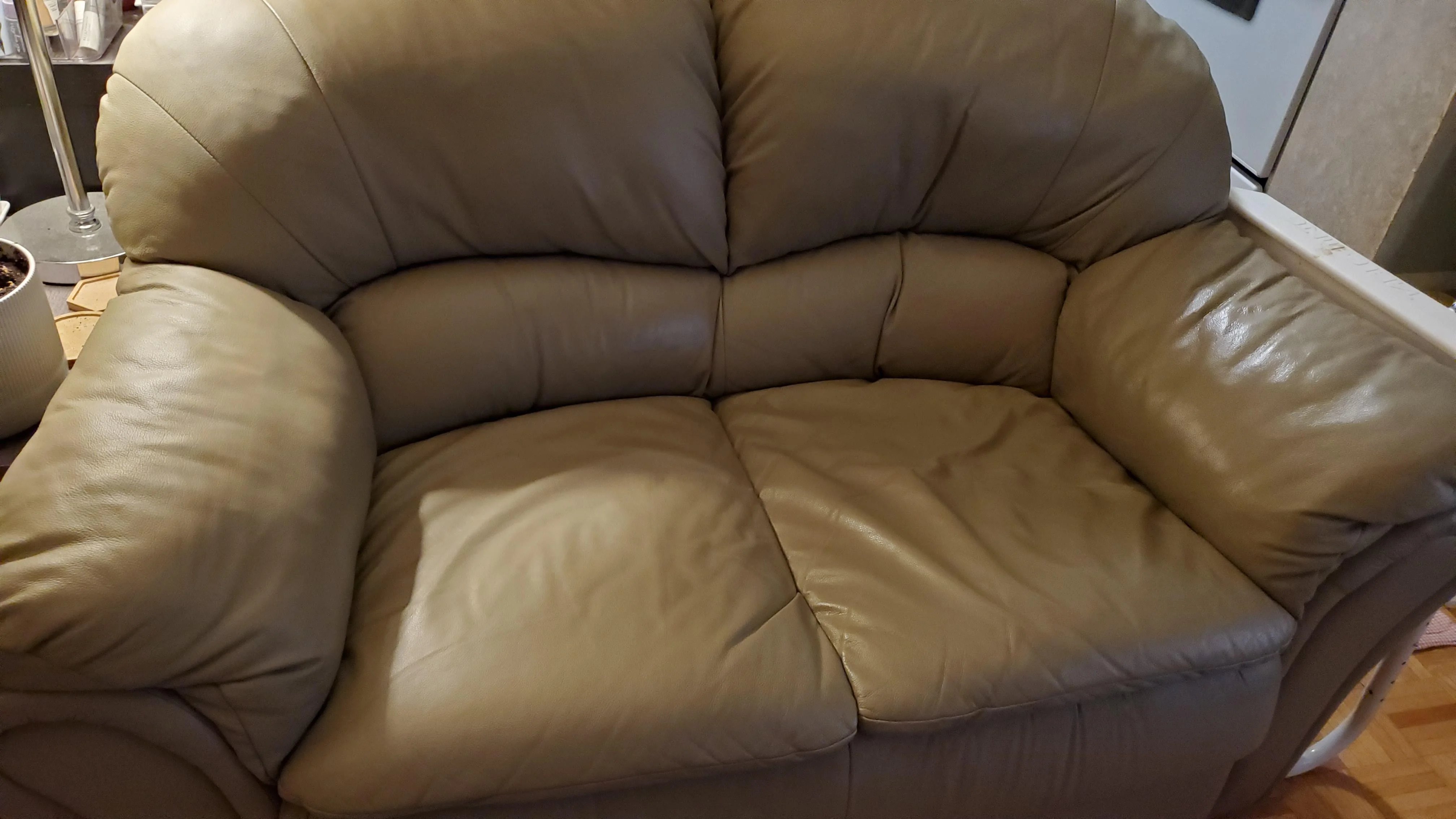 smelly leather loveseat